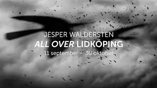 Jesper Waldersten - Lidk&ouml;pings Konsthall