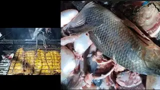 Fish 🐠 party 🥳