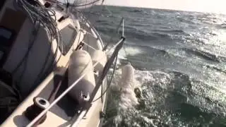 ETAP 23 - Sailing Le Crouesty to Yeu Island