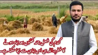Rain and Snowfall Prediction By Met Office | Pakistan Weather Update | Dangerous Situation for Crops