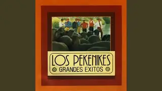 Sombras y rejas