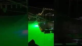 🎣🎣🎣Underwater Fishing Lights Underwater  LED Fishing Lights at Factory Price for Sale
