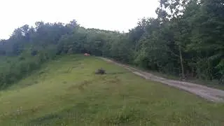 Ford Escort review - 180&deg; no scope