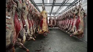 world Fastest workers 2020 - Butcher Superior SKILLS