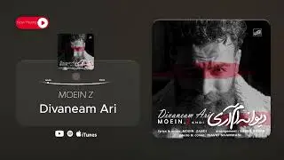 Moein Z - Divaneam Ari ( معین زد - دیوانه ام آری )