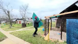 Крыша Шерифу, пьяная вишня 🍒, волшебный чай 🍵!