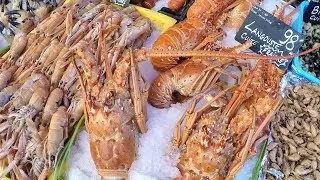 Nice, France. Biggest Fresh Fish Market on Christmas Days
