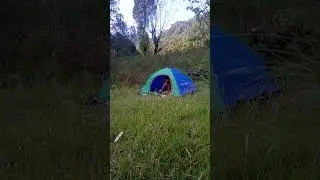 Camping Is ❤️ #camping #shortvideo #youtubeshorts #trendingsong #viralcamping