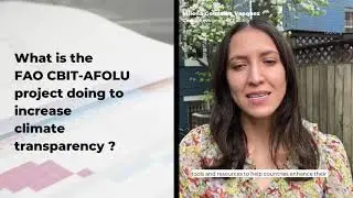 FAO&rsquo;s CBIT-AFOLU Project: Global Coordination for Enhanced Transparency under the Paris Agreement