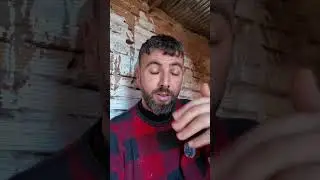 سلام عليكمليوما 🐥الكتاكيت عندهم 3ايام قدمت ايهم تلقيح البرونشيت🔴نيوكاسل🔴