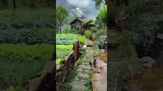 3dnature | farming village scene #shorts