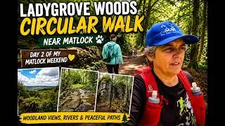 Matlock / Lady Grove Woods Circular Walk