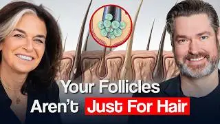 The Amazing Stem Cells Hiding in Your Hair Right Now l Dr. Drew Taylor l Ep #383
