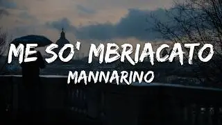 Mannarino - Me So' Mbriacato (Testo/Lyrics)