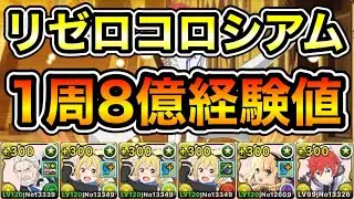【パズドラ】【訂正あり】 1周8億経験値！Re:ゼロから始める異世界生活コロシアム！ゼロから始める異世界生活！1周5分台！ほぼずらし！サレーネ-ヴィルヘルム×ラインハルト編成でランク上げ周回！