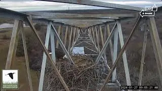 JBS20 - How's it Going?: JB Sands Wetland Center Eagles - Mom, Dad, JBS20, 🥚(1/27)