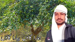 | Tour Of Jujube Trees | mare gaon me Bair's trees |