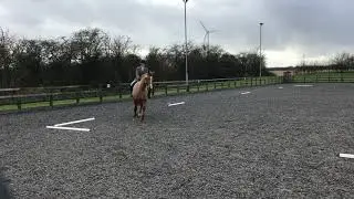 Karen Neal. HHDRC. Prelim 2. No 140. February 2nd 2021