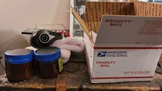 Unboxing Dunlap lures