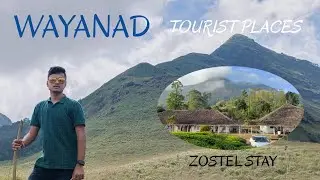 Wayanad Tourism I Kerala I Zostel Stay | Chembra Peak Trek | Solo Travel