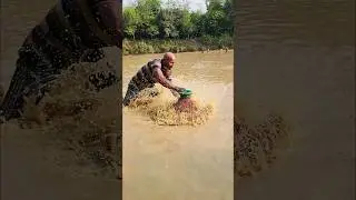 Wow! Amazing Polo Fishing Videos ! Best Big Fish Catching ! Primitive Technique fishing #fish #india