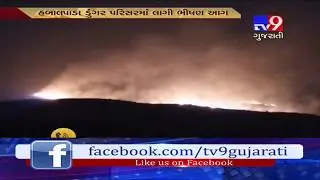 Massive fire breaks out in Aarey Milk Colony forest, Mumbai-Tv9