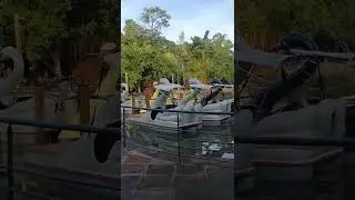 A volta dos pedalinhos no parque da Reden&ccedil;&atilde;o Porto Alegre RS