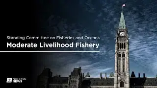 Standing Committee on Fisheries and Oceans discusses the moderate livelihood fishery | APTN News