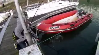 mulet au pain &agrave; la rochelle