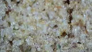 Dry sift Cleaned up with Static tech