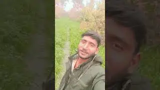 #song #love #freefirecomedy #funnysong #ekmotahathighumechala #nature #comedysong