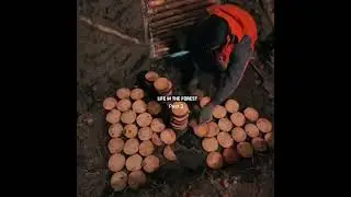 Built a Tree Stump Shelter in 1 Day - SurvivalChallenge! 173