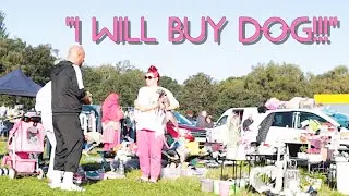 Carboot King - Я куплю собаку 🤣