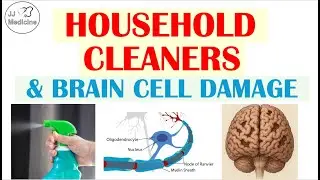 Brain Damage from Everyday Cleaners? What Science Reveals