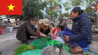 Традиционный утренний рынок Вьетнама – День на рынке Тиа