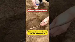 How to Grow Unique & Rare Plants at Home 🌱 Easy &ndash; Stunning &ndash; Beginner Friendly! #short