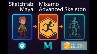Sketchfab | Blender | Mixamo | Maya | Advanced Skeleton