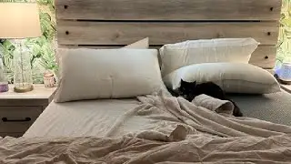 Acanva Cooling Bed Pillows for Sleeping, Luxury Hotel Quality 3D Microfiber Filling Review