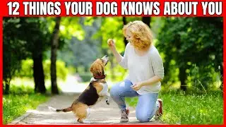 Dogs Know These 12 Hidden Things About Their Owners