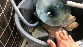 HEMAT AIR⁉️ PAKAI CARA INI ‼️ Filter Sirkulasi Kolam Bulat Terpal