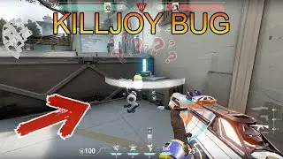 BUG KILLJOY | VALORANT BUG
