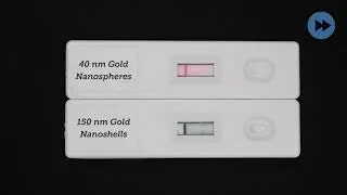 Dramatically improve the sensitivity of your lateral flow assay with gold nanoshells!