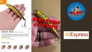 Best CHEAP Jerkbait Fishing Lure! #shorts