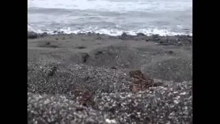 Rabida Island, Galapagos Cruises