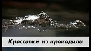 Кроссовки, которые вы никогда не купите