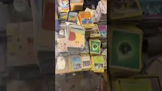 That&rsquo;s a lot of bulk Pok&eacute;mon Cards #shorts