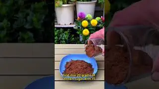 #garden #gardenigtip #agriculture #gardening #garden #organicgardening #tomato #organicfertilizer
