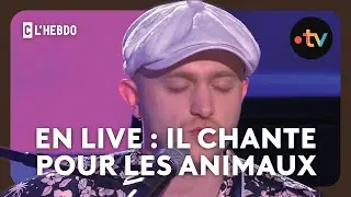 “Plumes” en live chante pour les chiots du Domaine de Léogane