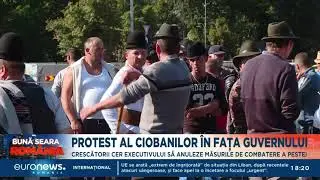 Oierii sunt nemulțumiți de măsurile luate de Executiv pentru a opri pesta micilor rumegătoare
