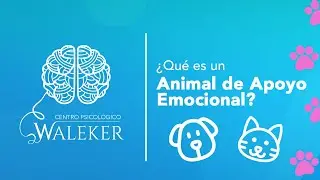 &iquest;Qu&eacute; es un Animal de Apoyo Emocional?